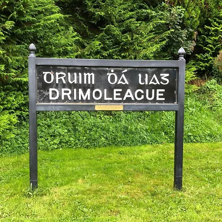 The Lookout Drimoleague