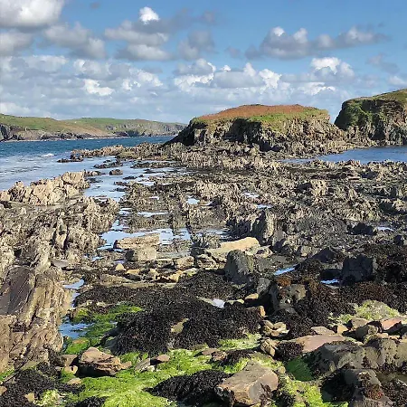 The Lookout Drimoleague