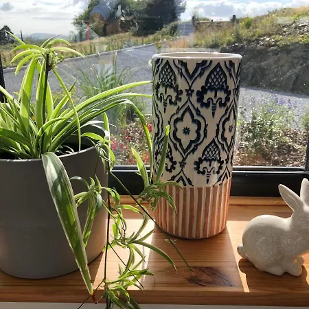 Bed and Breakfast The Lookout