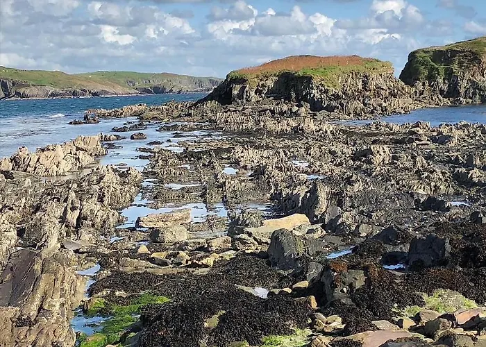 The Lookout Drimoleague