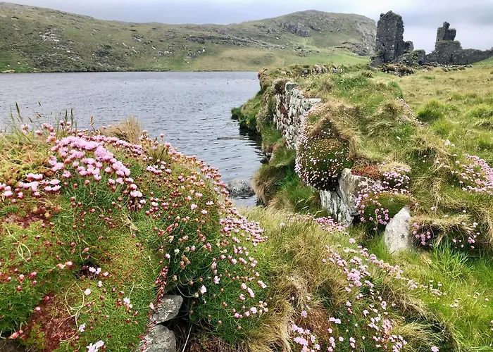 The Lookout Drimoleague