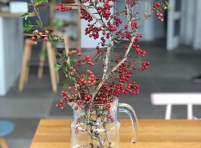 The Lookout 3* Drimoleague